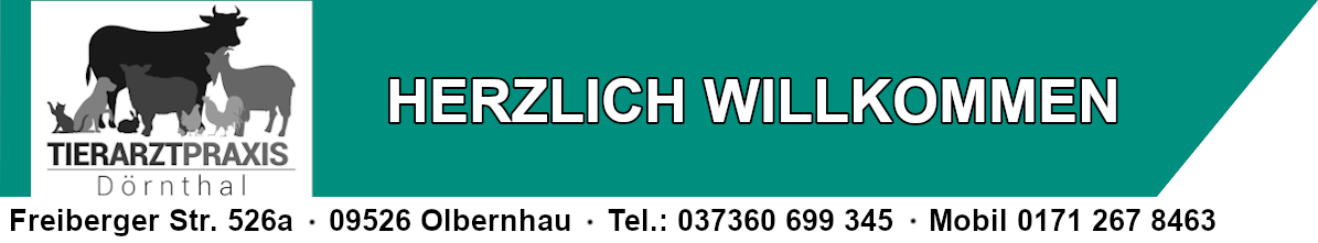 Logo Seifert